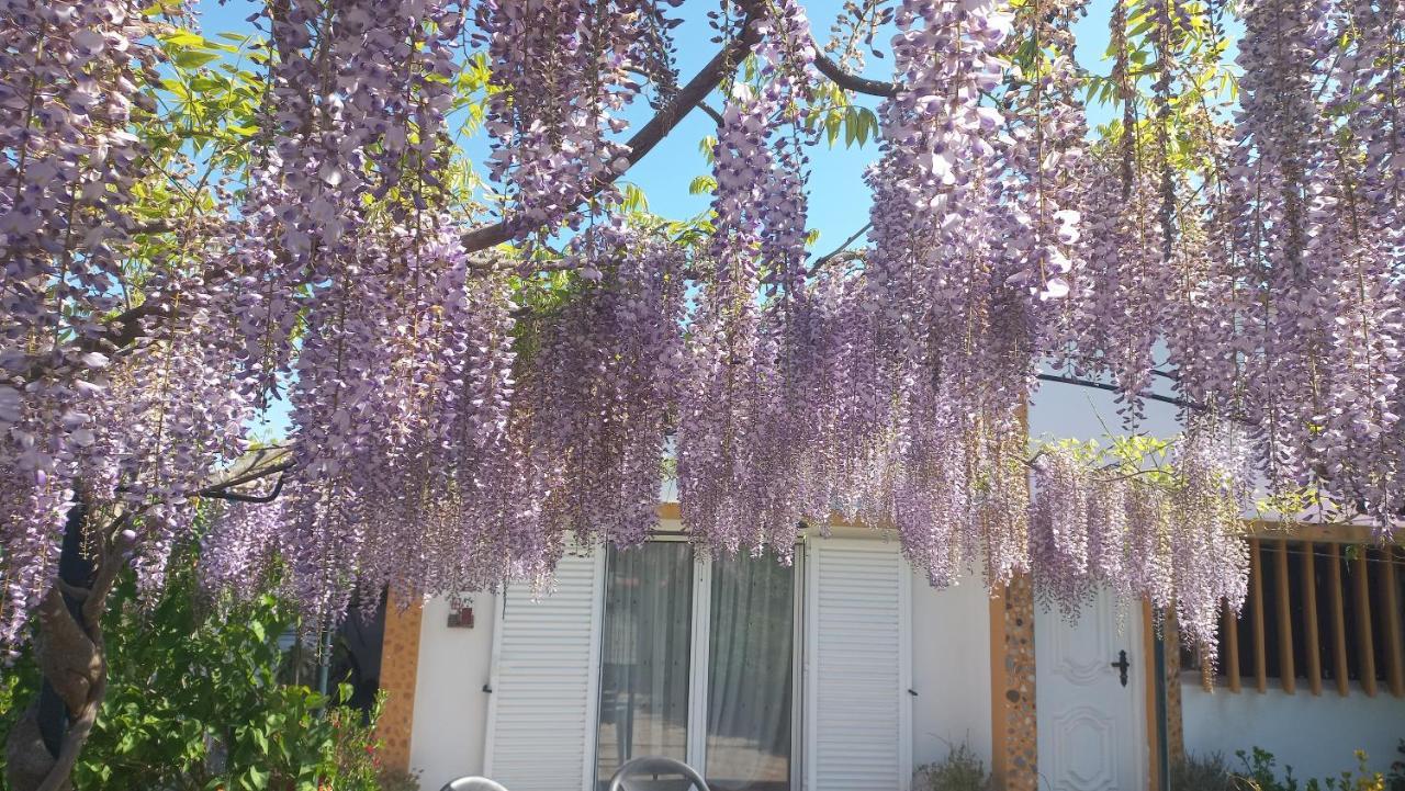 Casa Dos Gansos Villa Perais ภายนอก รูปภาพ