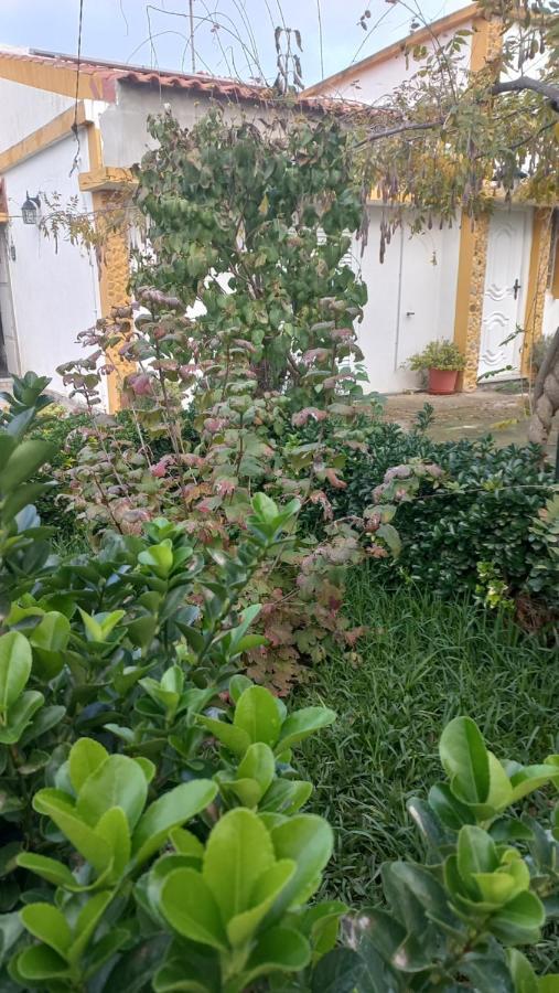 Casa Dos Gansos Villa Perais ภายนอก รูปภาพ